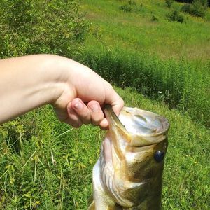 Meet your Posher, Seth